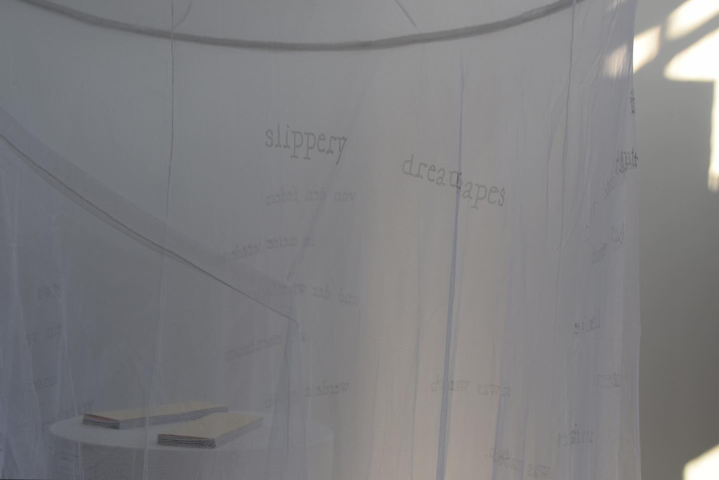 „Queer* Spaces Kassel“ und „slippery dreamsc